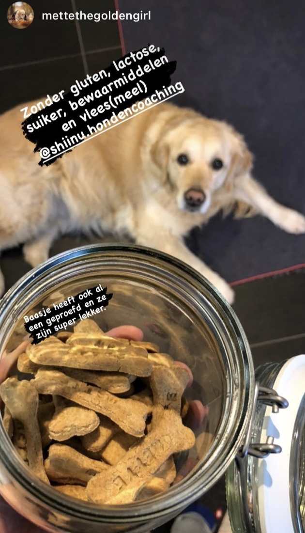 Bakmix DIY gezonde, glutenvrije hondenkoekjes